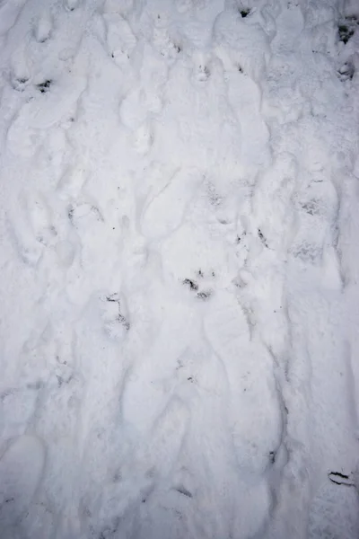 Karda ayak izleri ve izler