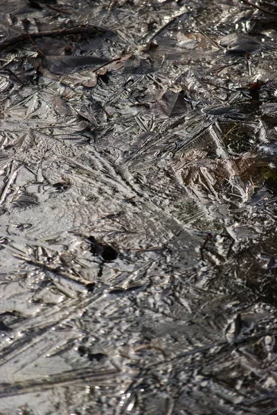 Donmuş sulak alanlara yakın çekim