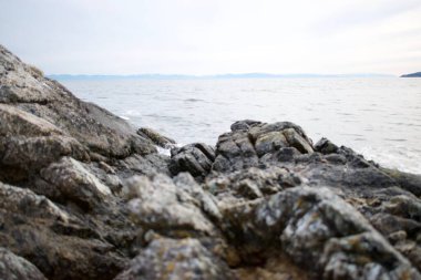 Okyanus kayalık kıyıya karşı