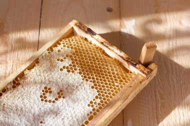 Kırmızı bir benzin bidonundan benzin döken bir adamın yakın çekimi. Acil durum yakıt ikmali, seyahat sorunları, yol seyahati, araba bakımı veya ulaşım sorunu.