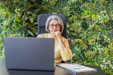 Dizüstü bilgisayar kullanan, modern bir biyofilik ofiste çalışan gri saçlı kıdemli iş kadını.