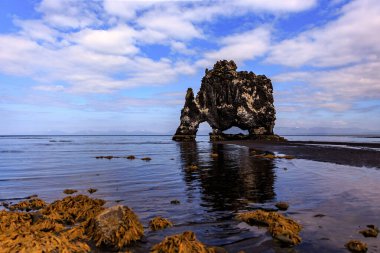 Hunafloi Körfezi 'ndeki Hvitserkur bazalt deniz yığını Vatnsnes Yarımadası, Kuzeybatı İzlanda, İzlanda
