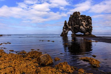 Hunafloi Körfezi 'ndeki Hvitserkur bazalt deniz yığını Vatnsnes Yarımadası, Kuzeybatı İzlanda, İzlanda