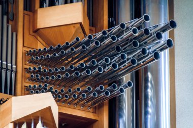 Hallgrimur Kilisesi (Hallgrimskirkja), Reykjavik, İzlanda