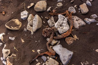 İzlanda Kara Kum Sahili 'nde Sürüklenen Ağaçlar ve Taşlar 