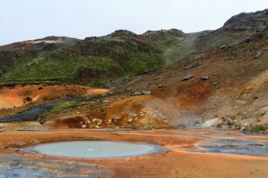 Gunnuhver termal yayları ve Atlantik Okyanusu kıyıları, Reykjanes UNESCO Global Geopark, Reykjanes Yarımadası, İzlanda