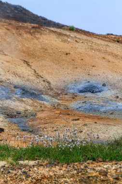 Gunnuhver termal yayları ve Atlantik Okyanusu kıyıları, Reykjanes UNESCO Global Geopark, Reykjanes Yarımadası, İzlanda