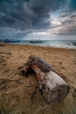 Dusk, Bali 'deki Sanur Sahili' nde sürüklenen ağaçlar.