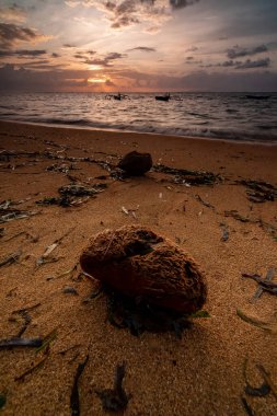 Alacakaranlık, Bali 'deki Sanur Plajı' nda hindistan cevizi
