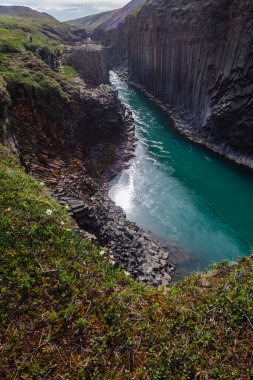 İzlanda 'da bazalt kanyon ve nehir akışı