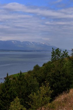 Yaz Bulutları Altında Akureyri Limanı Manzarası, İzlanda