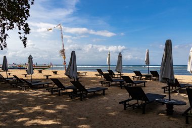 Bali 'de Palmiye Ağaçları ve Okyanus Manzaralı Tropikal Sahil