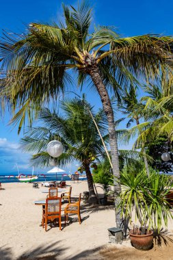 Bali 'de Palmiye Ağaçları ve Okyanus Manzaralı Tropikal Sahil