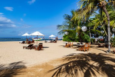 Bali 'de Palmiye Ağaçları ve Okyanus Manzaralı Tropikal Sahil