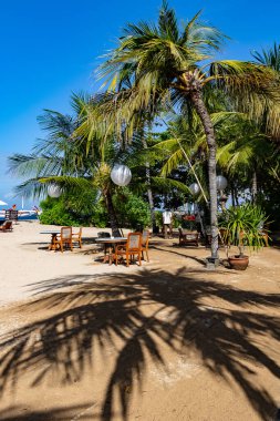 Bali 'de Palmiye Ağaçları ve Okyanus Manzaralı Tropikal Sahil