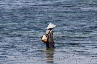 Bali 'nin Sığ Kıyı Sularında Geleneksel Balıkçı Döküm Ağı
