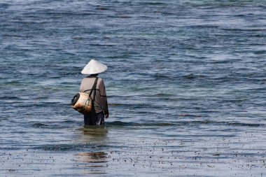 Bali 'nin Sığ Kıyı Sularında Geleneksel Balıkçı Döküm Ağı