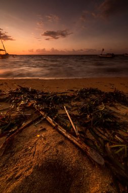 Günbatımında Sükunet Bali Plajı Driftwood ile