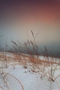 Litvanya 'daki Baltık Kumullarının Üzerinde Kış Günbatımı