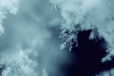 Donmuş Geometri: Makro Kar Tanesi Soyutlaması