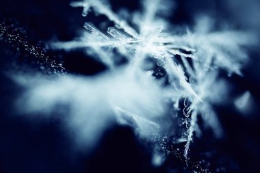 Donmuş Geometri: Makro Kar Tanesi Soyutlaması