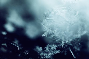 Donmuş Geometri: Makro Kar Tanesi Soyutlaması