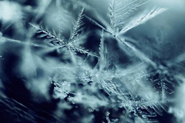 Donmuş Geometri: Makro Kar Tanesi Soyutlaması