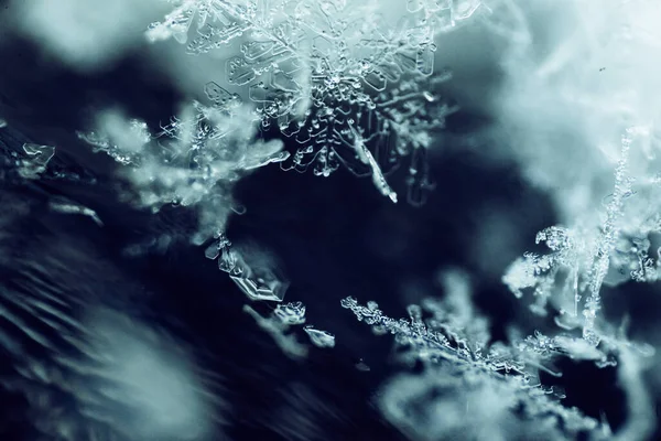 Donmuş Geometri: Makro Kar Tanesi Soyutlaması