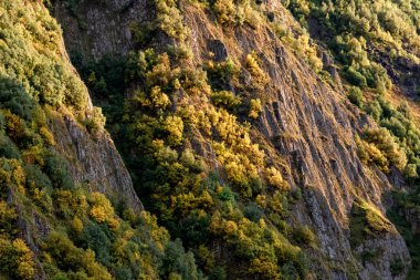 Gürcistan 'daki Dağ yamaçlarındaki Altın Gün Işığı