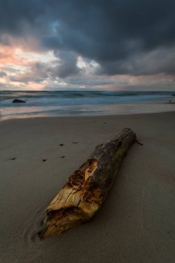 Litvanya sahilinde, uzun pozlu, fırtınalı baltık günbatımında sürüklenen bir odun parçası.