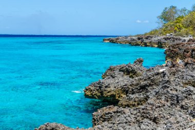 Playa Larga, Küba 'daki Turkuaz Karayip Kıyısı