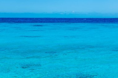 Playa Larga, Küba 'daki Turkuaz Karayip Kıyısı