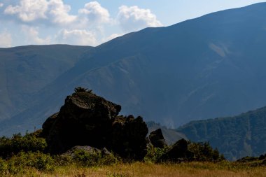 Georgia 'nın güneşli gününde Dağ Tepeleri