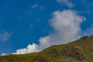 Georgia 'nın güneşli gününde Dağ Tepeleri