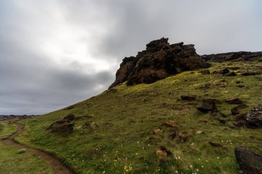Yosun kaplı lav vadisi, Reykjanes Yarımadası, İzlanda