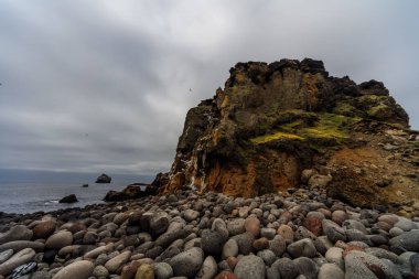 Valahnukur Cliff ve Rocky Shore, Reykjanes Yarımadası, İzlanda