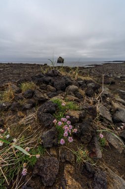Valahnukamol Volkanik Sahili, Reykjanes Yarımadası, İzlanda