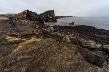 Valahnukur Cliff ve Rocky Shore, Reykjanes Yarımadası, İzlanda