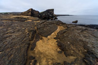 Valahnukur Cliff ve Rocky Shore, Reykjanes Yarımadası, İzlanda