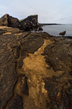Valahnukur Cliff ve Rocky Shore, Reykjanes Yarımadası, İzlanda