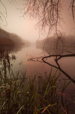 Litvanya, Klaipda 'da Sakin Göl Üzerindeki Sisli Gün Doğumu