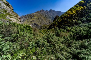 Görkemli Gürcü Dağları Manzarası