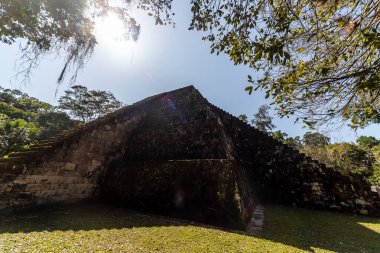Antik Maya Piramidi Tropikal Ormanın Üzerinde Yükseliyor
