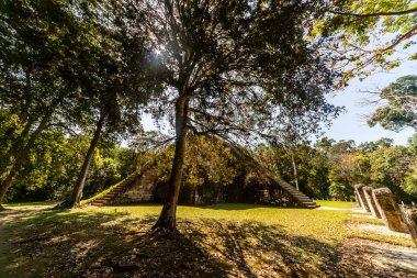 Maya Tapınağı ve Taş Çelik Tikal Arkeoloji Alanında