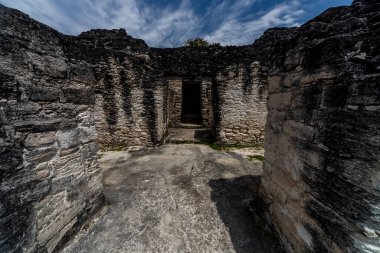 Tikal 'da Antik Taş Maya Harabeleri