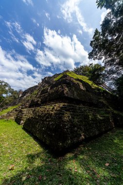 Antik Maya Piramidi Tropikal Ormanın Üzerinde Yükseliyor