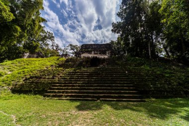 Tikal Ormanı 'ndaki Antik Maya Tapınağı Harabeleri