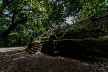 Tikal Ormanı 'ndaki Antik Maya Tapınağı Harabeleri