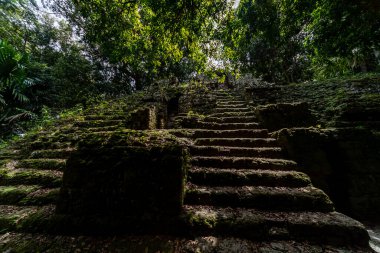 Tikal Ormanı 'ndaki Antik Maya Tapınağı Harabeleri