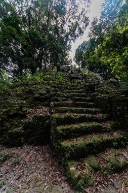 Tikal Ormanı 'ndaki Antik Maya Tapınağı Harabeleri